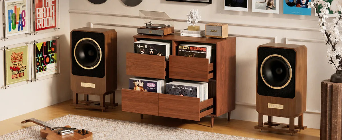 Record Player Stands & Vinyl Storage